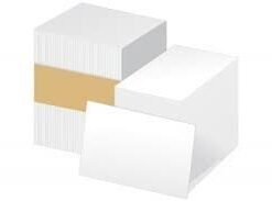 Plastic PVC Cards - Zebra 104523-111